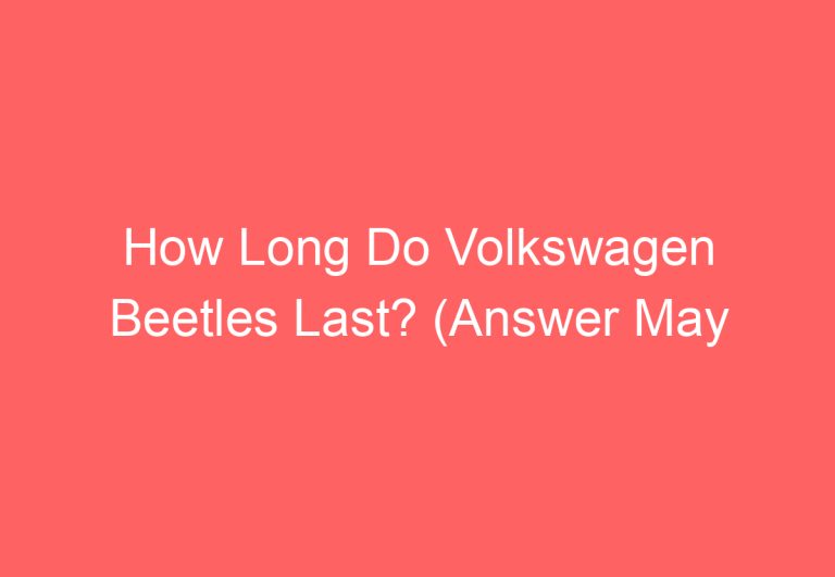 How Long Do Volkswagen Beetles Last? (Answer May Surprise You!)