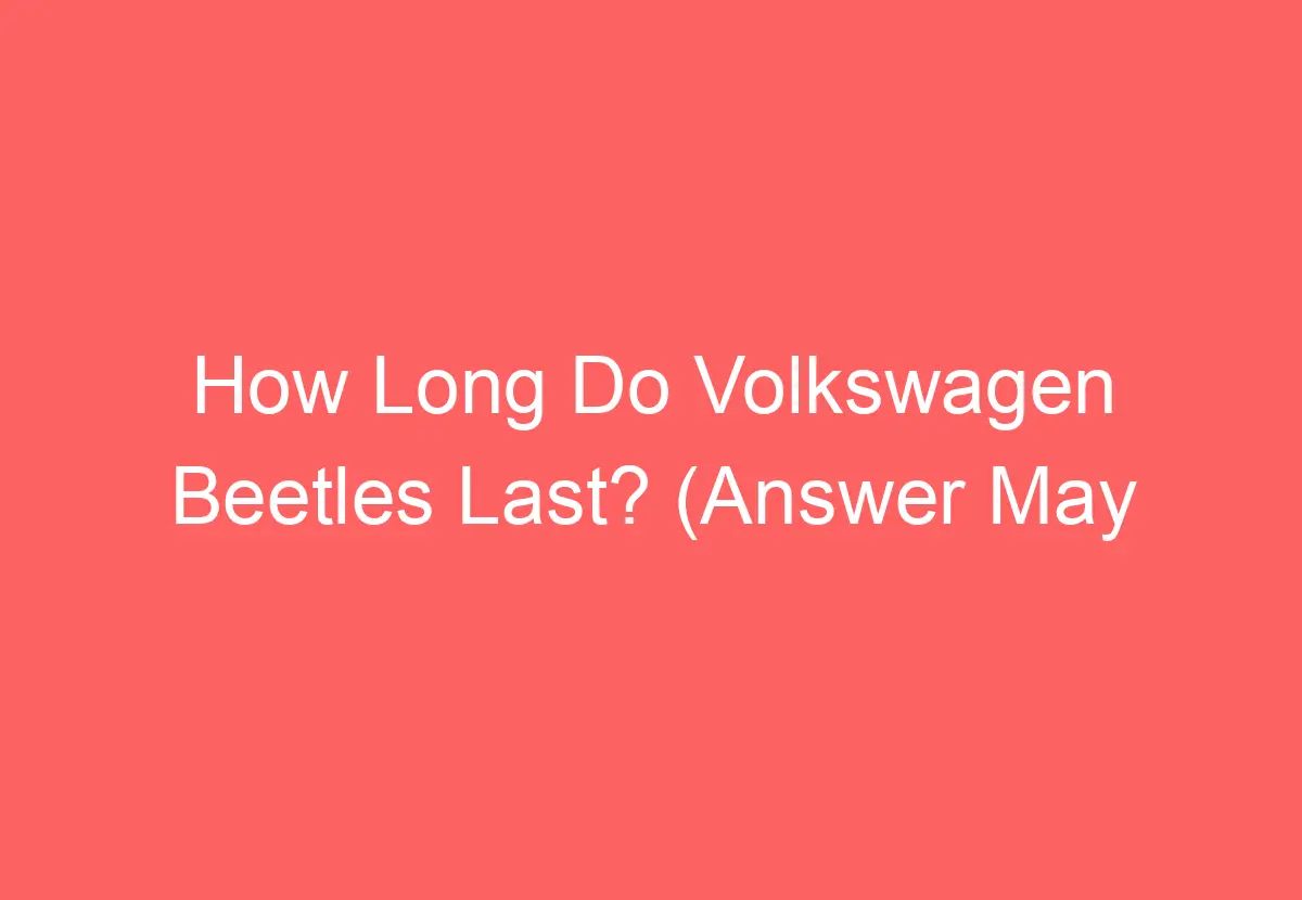 How Long Do Volkswagen Beetles Last? (Answer May Surprise You