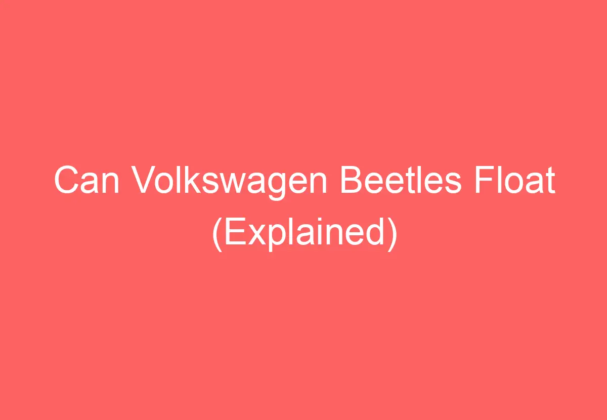 Can Volkswagen Beetles Float (Explained) VolkswagenBuddy