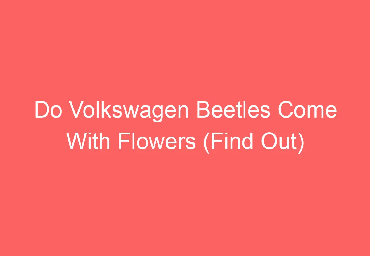 Do Volkswagen Beetles Come With Flowers (Find Out) VolkswagenBuddy