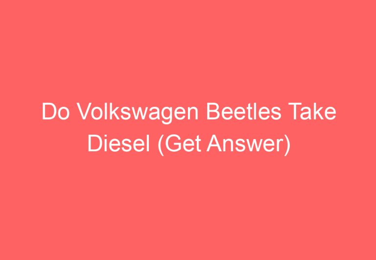 Do Volkswagen Beetles Take Diesel (Get Answer)