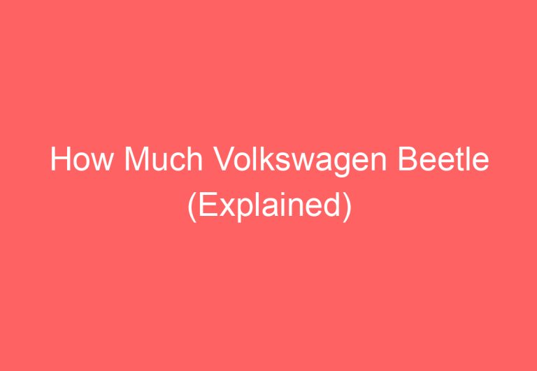 How Much Volkswagen Beetle (Explained)