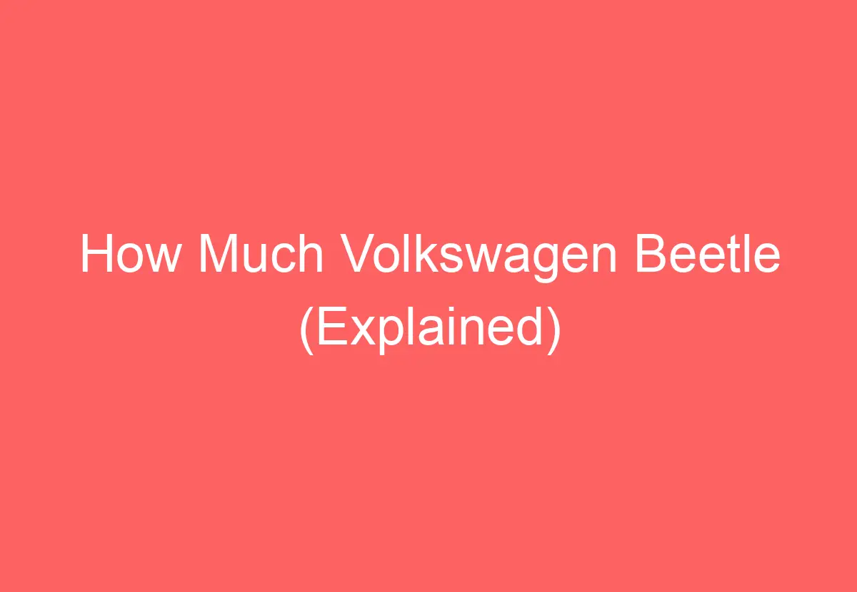 How Much Volkswagen Beetle (Explained) - VolkswagenBuddy