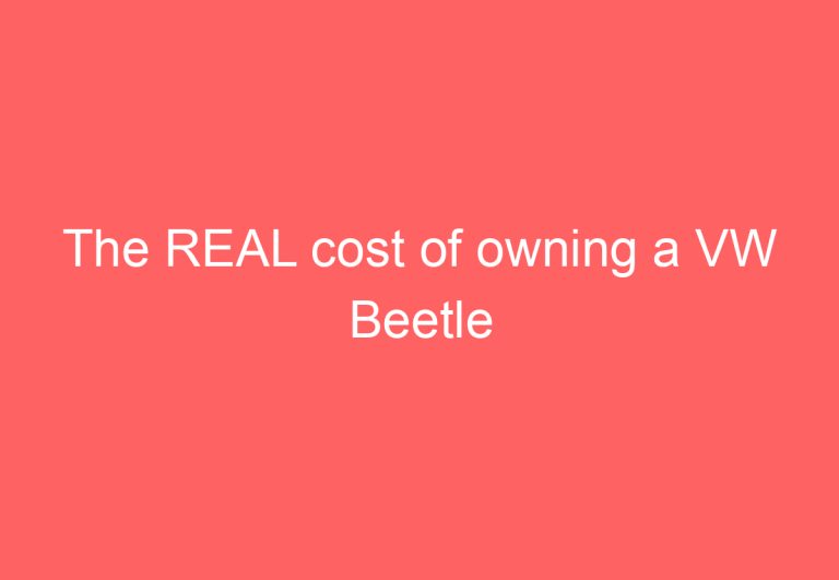 The REAL cost of owning a VW Beetle