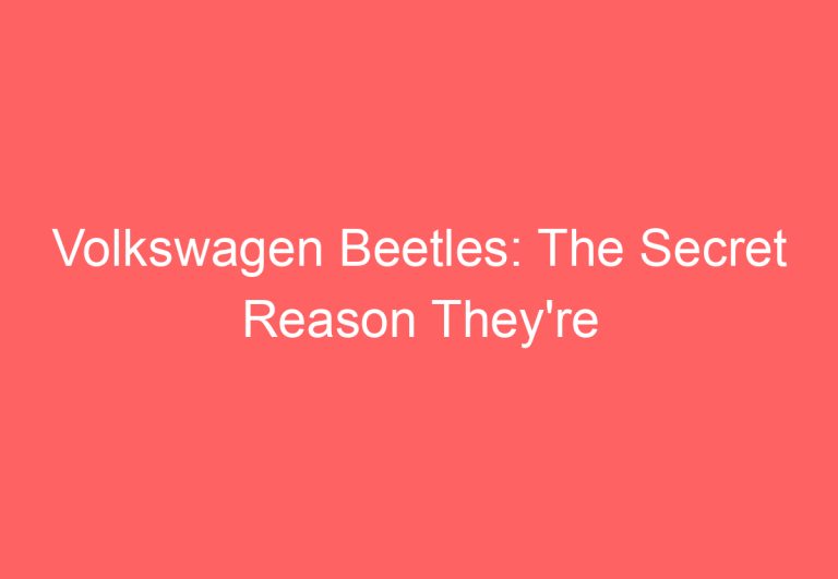 Volkswagen Beetles: The Secret Reason They’re Covered in Flowers